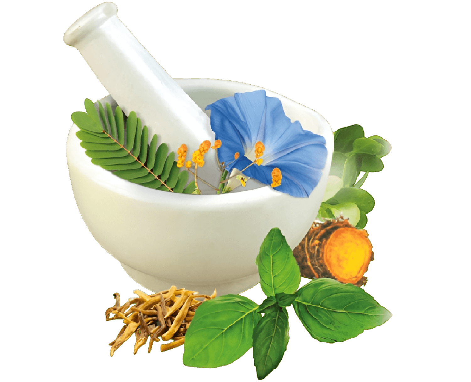 Ayurvedic